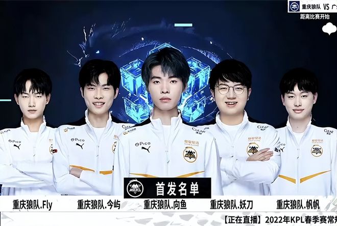 官方： Team Vitality 与 Less 分道扬镳